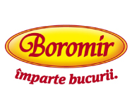 Food4u-boromir